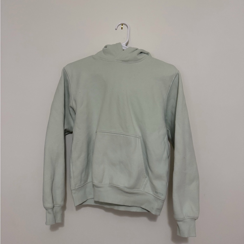 Aritzia Light Green Sweatfleece Hoodie